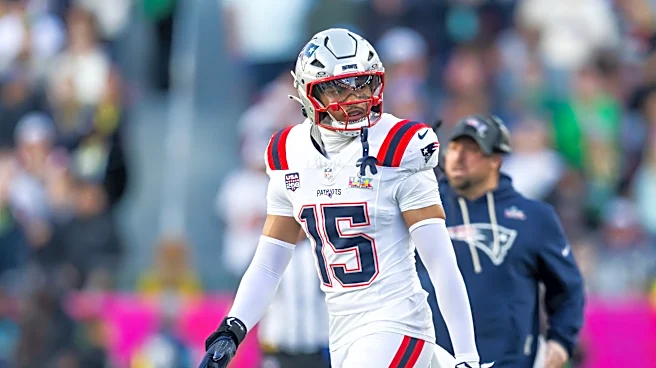 Arizona Cardinals try out 4 linebackers Tuesday