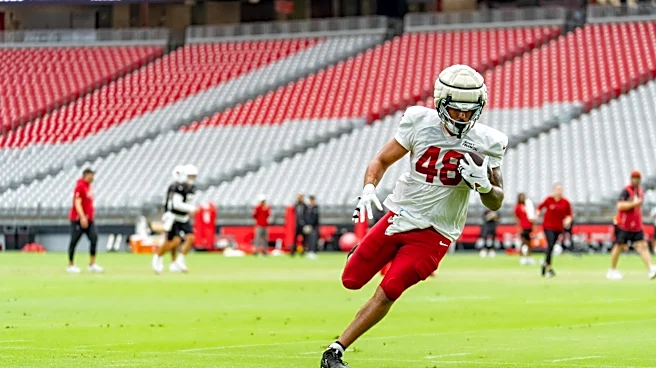 Arizona Cardinals sign TE Shawn Bowman to active roster