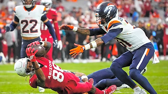 Jalen Brooks injury: Arizona Cardinals WR out for season