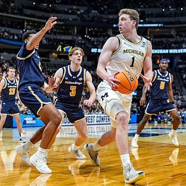 Boston Celtics reportedly sign guard Hayden Gray