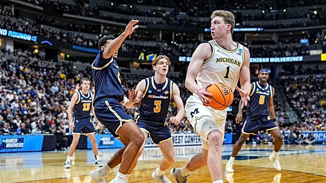 Boston Celtics reportedly sign guard Hayden Gray