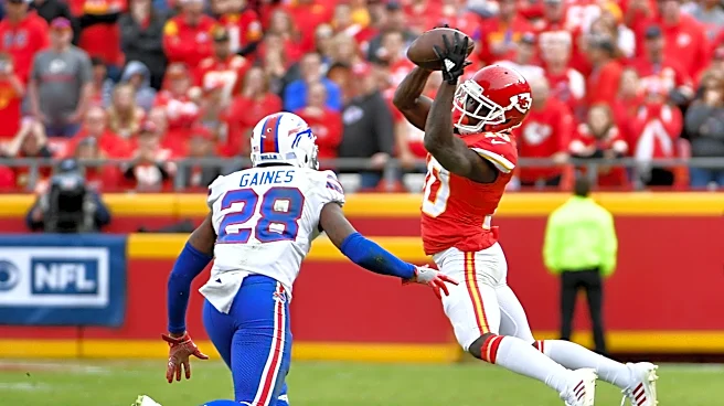 Here are 4 free agent WRs Kansas City Chiefs should consider signing