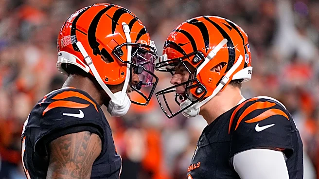 Bengals crack Top 10 in USA TODAY's NFL vibe check rankings