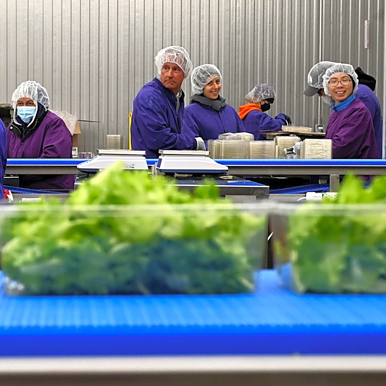 Greater Cincinnati indoor farming startup shutting down