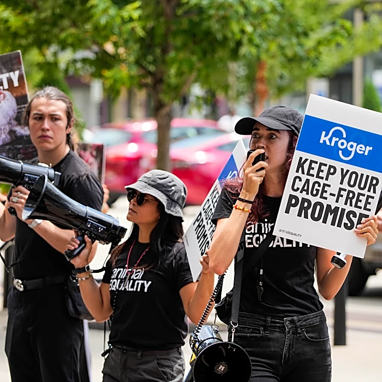 'Obnoxious' protests at Kroger headquarters frustrate neighbors