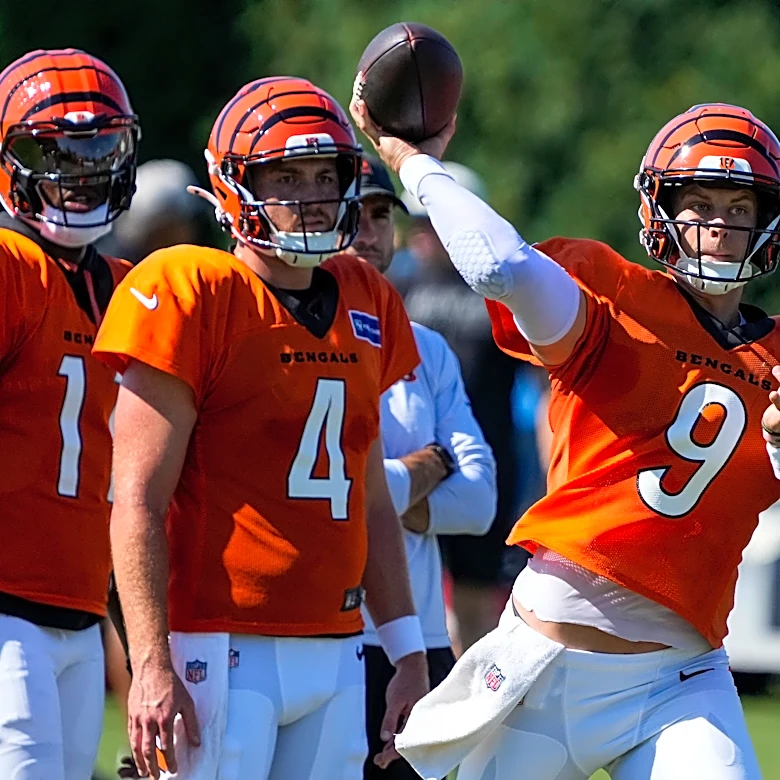 See Cincinnati Bengals projected record, division rank from USA Today