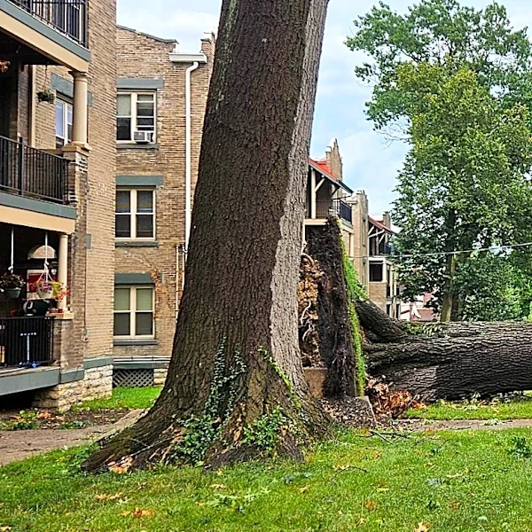 Duke gives estimate for when power will be restored as outages drop 70%