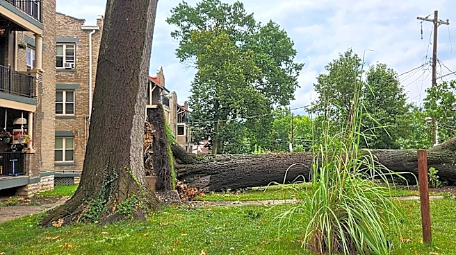 Duke gives estimate for when power will be restored as outages drop 70%