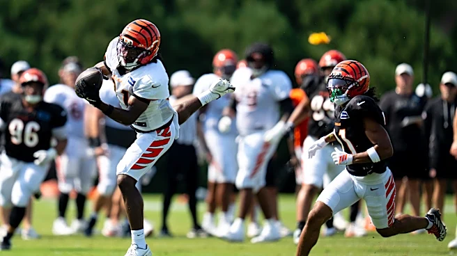 Bengals WR Dohnte Meyers earns Joe Burrow praise after preseason win