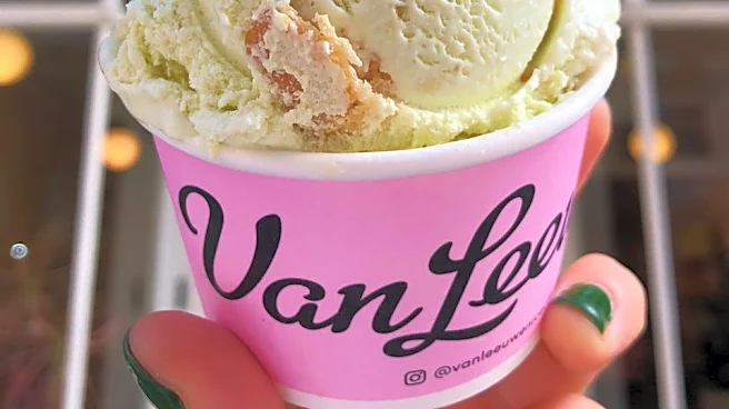 Rebel Ice Cream filed for Chapter 11 bankruptcy after 2021 lawsuit
