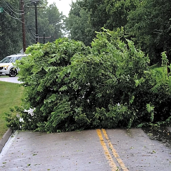 Tornado hit just outside Cincinnati area last week, NWS says