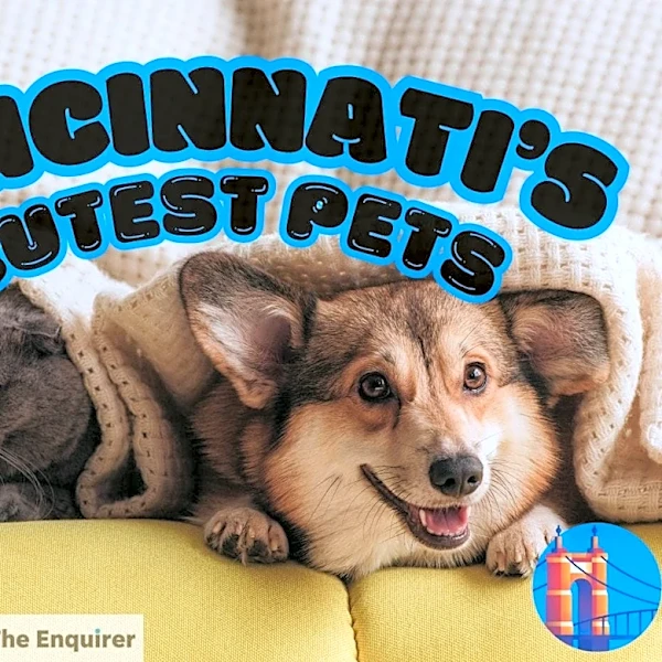 Voting starts Monday on Cincinnati's Cutest Pets bracket madness