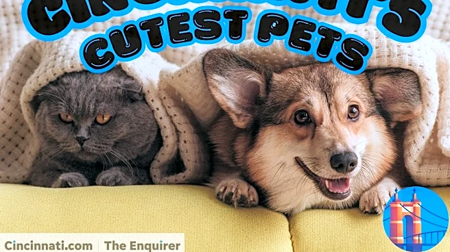 Voting starts Monday on Cincinnati's Cutest Pets bracket madness