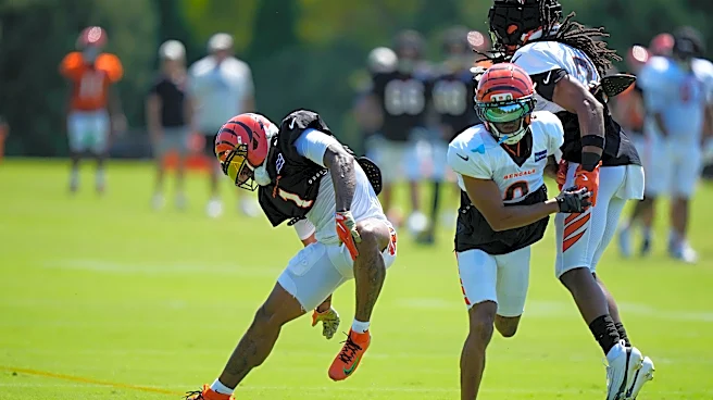 Bengals star WR Ja'Marr Chase injured during training camp practice