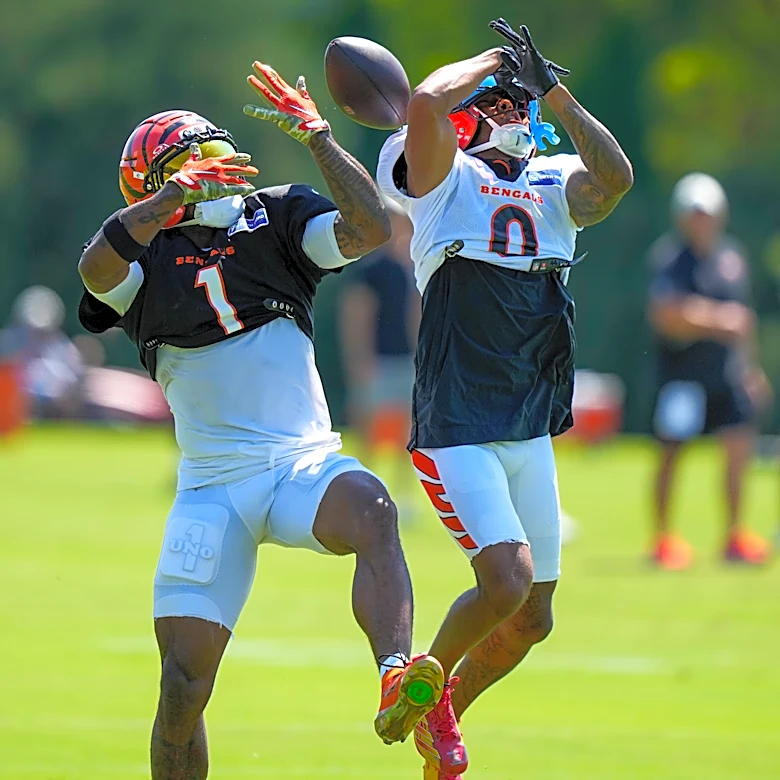 Bengals announcer Dan Hoard 'nearly fainted' over Ja'Marr Chase injury