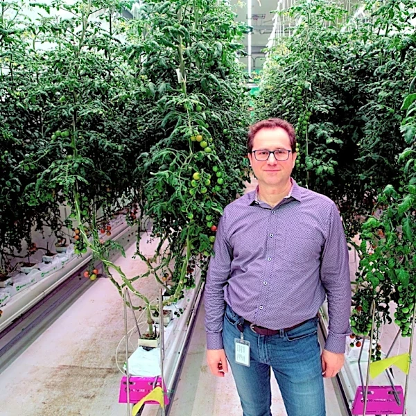 Vertical farm startup 80 Acres files bankruptcy to wind down business