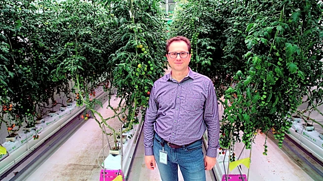 Vertical farm startup 80 Acres files bankruptcy to wind down business
