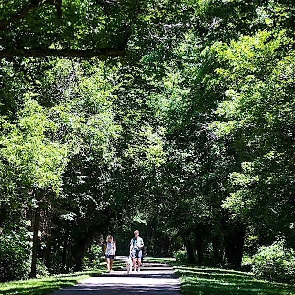 Final phase of Columbia Connector Trail underway
