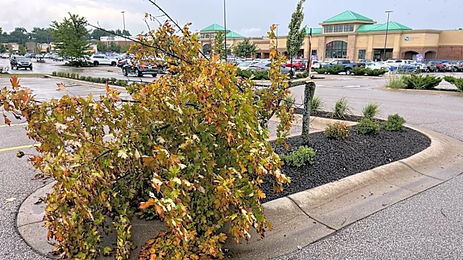 Storm-hit Hamilton County businesses can seek SBA loans