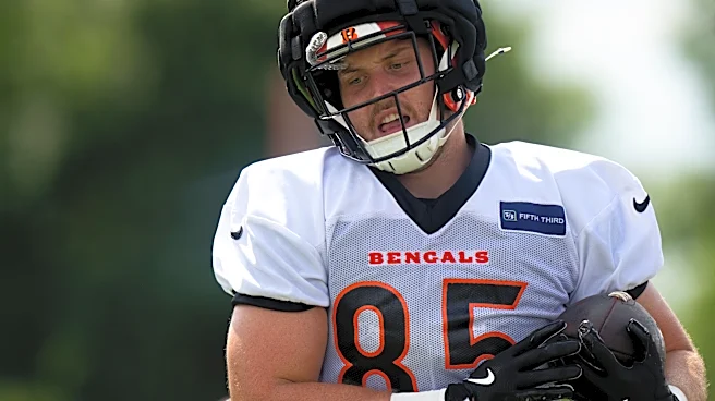 Cam Grandy, TE cut by Bengals, joins Vikings' practice squad | Reports