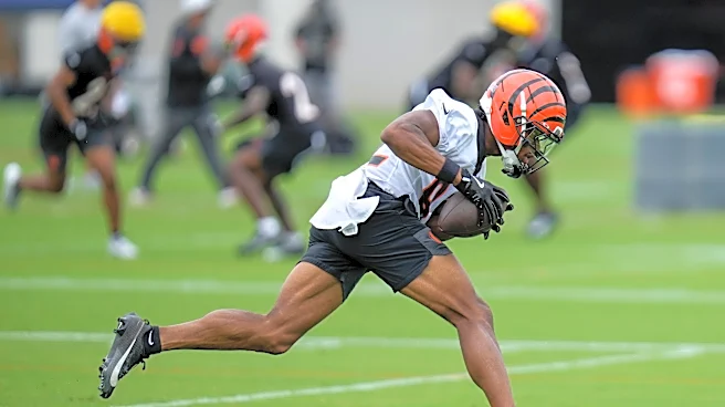 Mitchell Tinsley, WR Bengals cut, joins Texans practice squad | Report