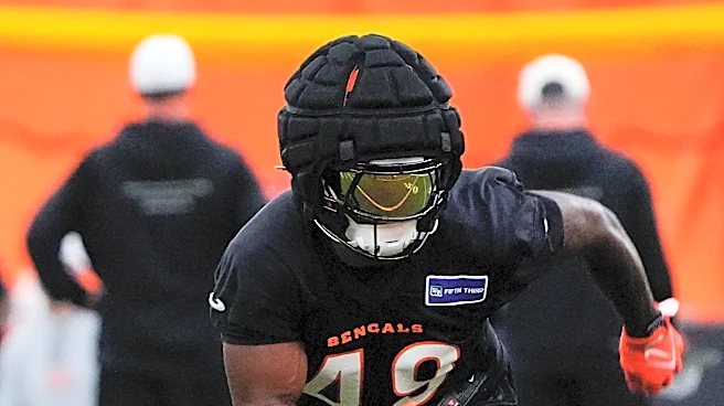 'A new narrative.' Why the Bengals are confident in their linebackers