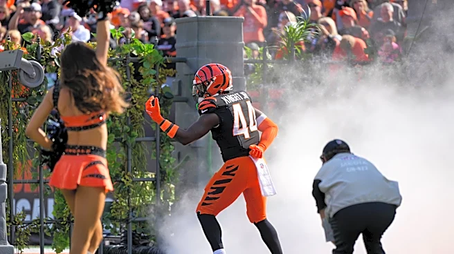 Demetrius Knight Jr gives Bengals first touchdown of season | Reactions