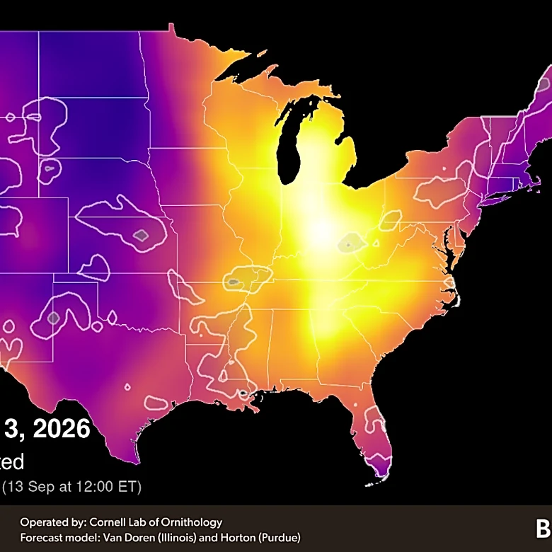 Millions of birds to migrate through Ohio River Valley. How we can help