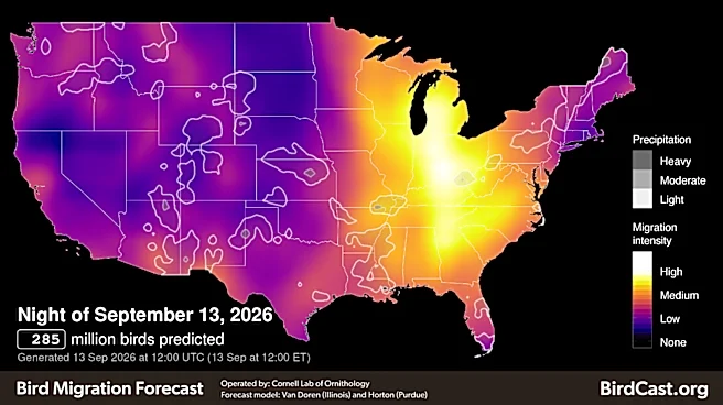 Millions of birds to migrate through Ohio River Valley. How we can help