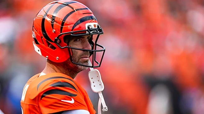 Why Bengals should still make playoffs if Burrow gets hurt | Williams