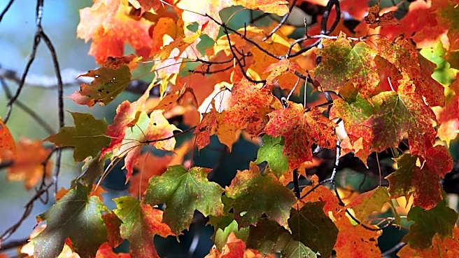 Today is the first day of fall, but the autumnal equinox happens late