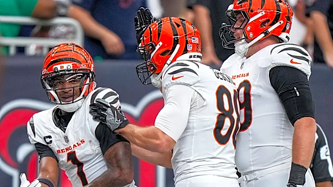 See where Bengals rank among NFL's 2-0 teams