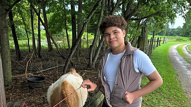 Warnings not heeded before foster teen jumped from vehicle, family says