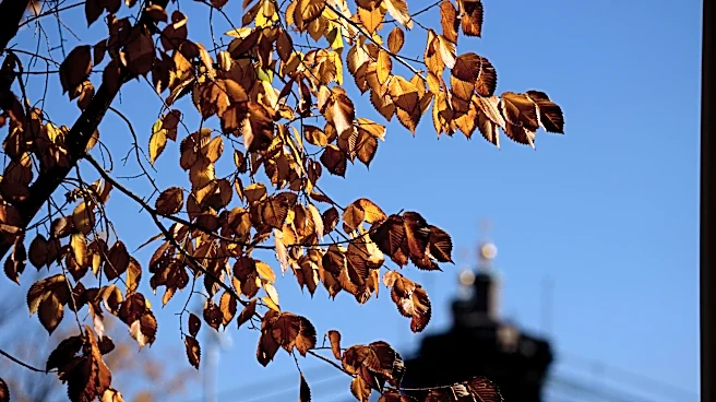 Dry, cool fall weekend ahead for Greater Cincinnati