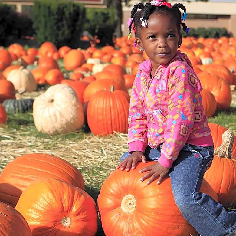 Fall is here! Check out these pumpkin patches around Cincinnati 🎃