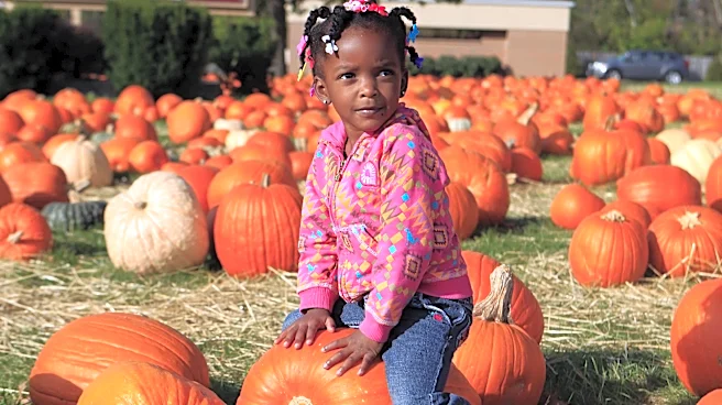 Fall is here! Check out these pumpkin patches around Cincinnati 🎃