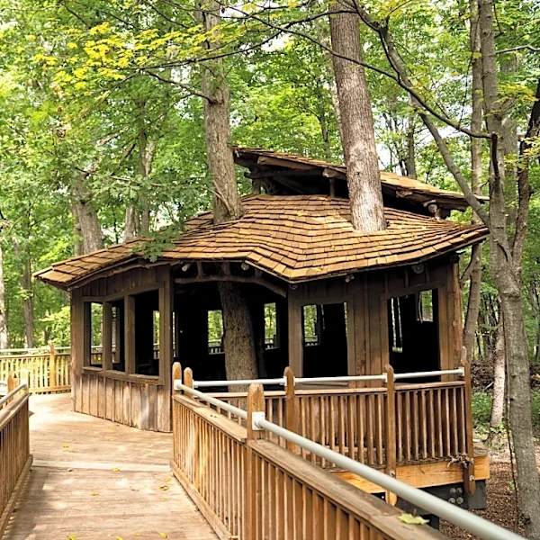 After $413K upgrade, Everybody's Treehouse reopens in Mount Airy park