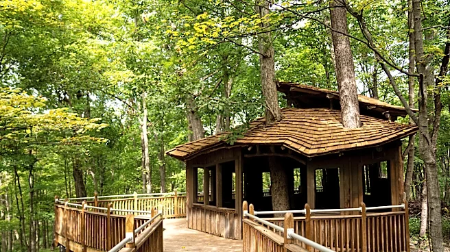 After $413K upgrade, Everybody's Treehouse reopens in Mount Airy park