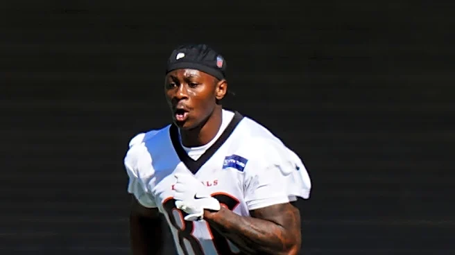 Bengals rookie WR Colbie Young injures knee vs Steelers in NFL Week 3