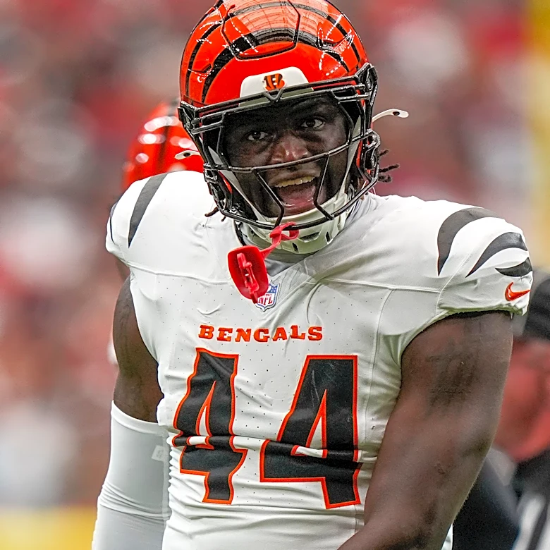 Bengals LB Demetrius Knight Jr injured vs Steelers in NFL Week 3