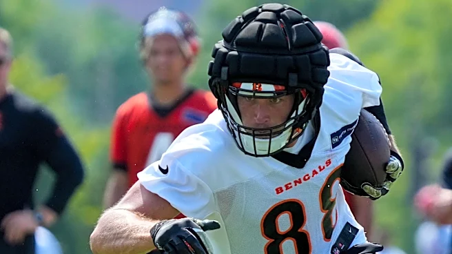 Bengals tight end Mike Gesicki injured vs Steelers in NFL Week 3