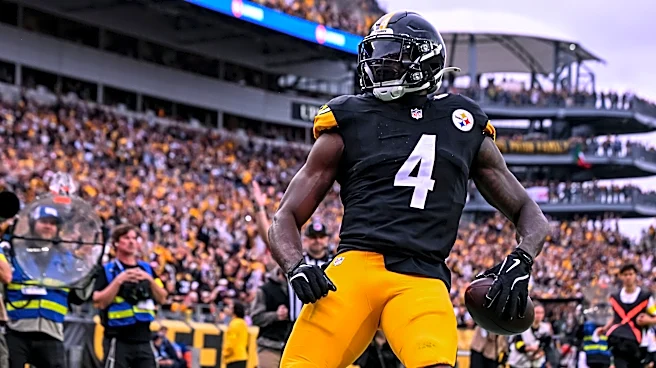 Steelers' DK Metcalf yells at Bengals' Dexter Lawrence in NFL Week 3