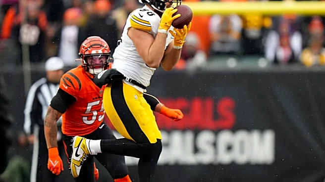 Steelers tight end Pat Freiermuth injured vs Bengals in NFL Week 3