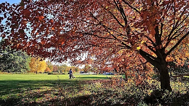 When will peak fall colors reach Cincinnati? See 2026 foliage maps