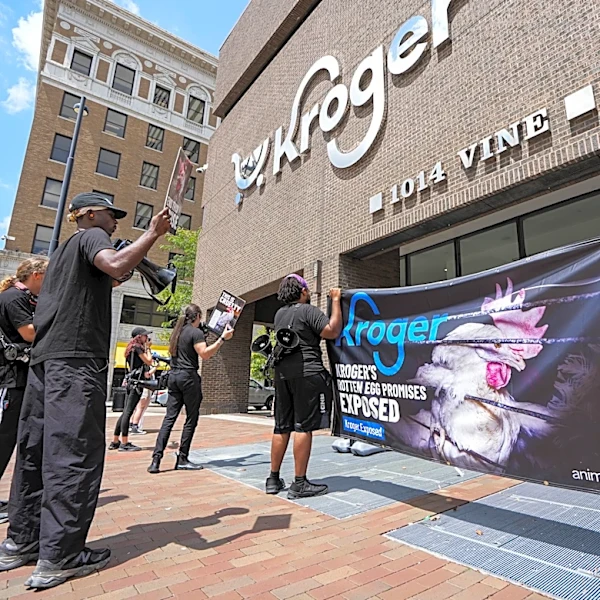 Kroger should keep its promise on cage-free eggs | Letter