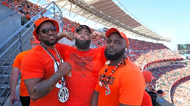 Top 10 events this weekend include fall fests and a Bengals home game