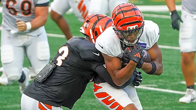 Here's why Mitchell Tinsley fits Bengals 'by-committee' offensive approach