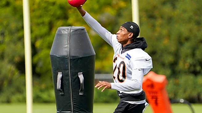 Explaining why the Bengals' injuries in the secondary are significant