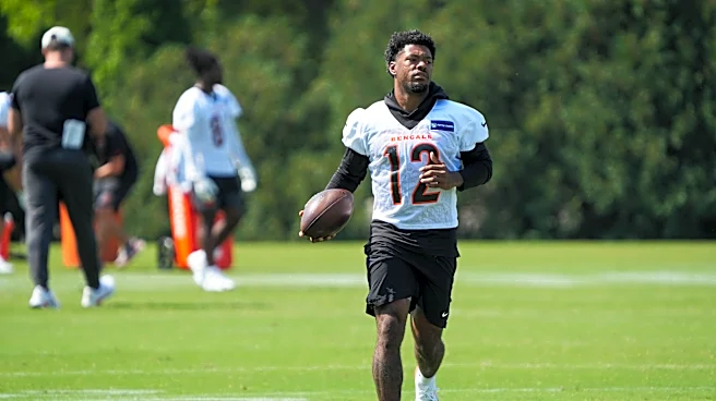 Bengals bring back Ke'Shawn Williams, sign returner to practice squad