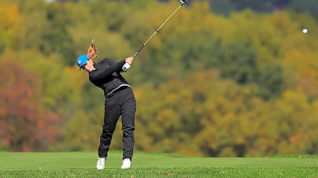 Which Cincinnati DII and DIII golfers reached OHSAA state tournaments?